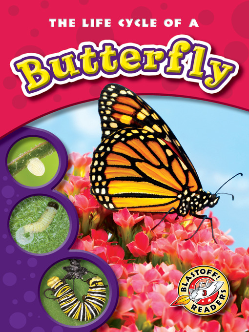Title details for The Life Cycle of a Butterfly by Colleen Sexton - Available